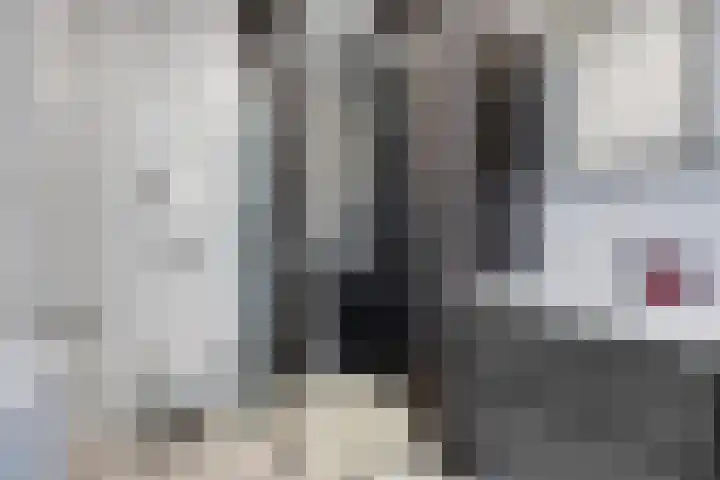 Groote Wielenlaan 402 Rosmalen thumbnail 19
