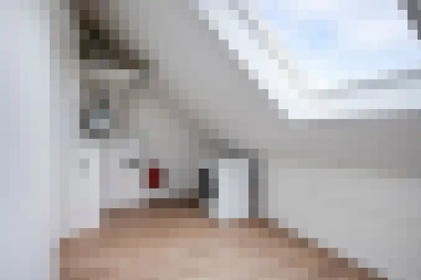 Groote Wielenlaan 402 Rosmalen thumbnail 21