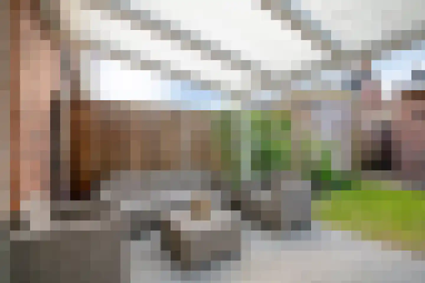 Groote Wielenlaan 402 Rosmalen thumbnail 23
