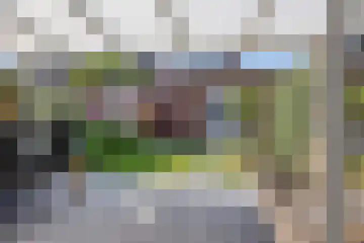 Groote Wielenlaan 402 Rosmalen thumbnail 27