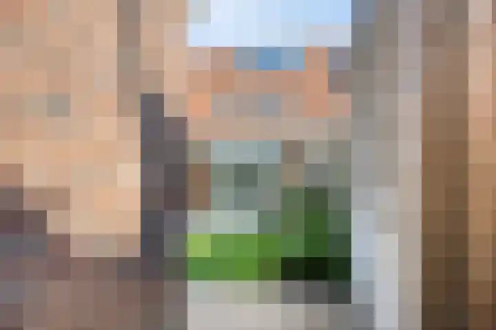 Groote Wielenlaan 402 Rosmalen thumbnail 28