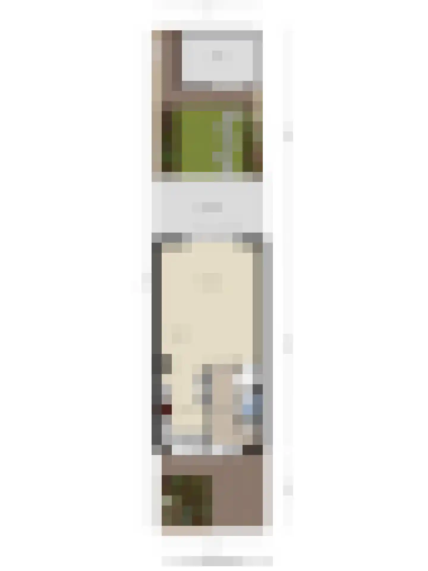 Groote Wielenlaan 402 Rosmalen thumbnail 31