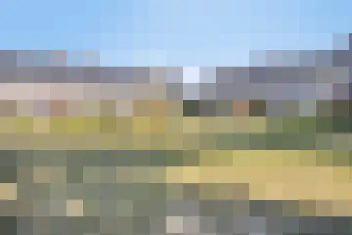 Groote Wielenlaan 402 Rosmalen thumbnail 31