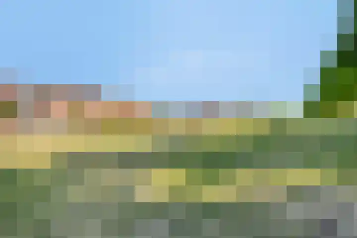 Groote Wielenlaan 402 Rosmalen thumbnail 32