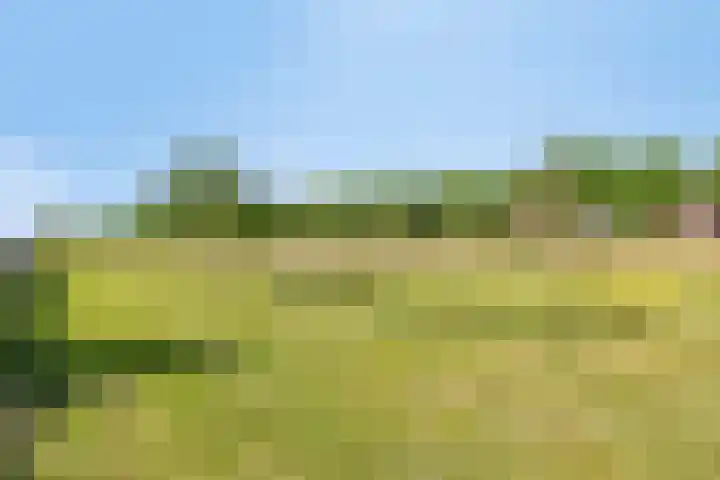 Groote Wielenlaan 402 Rosmalen thumbnail 33