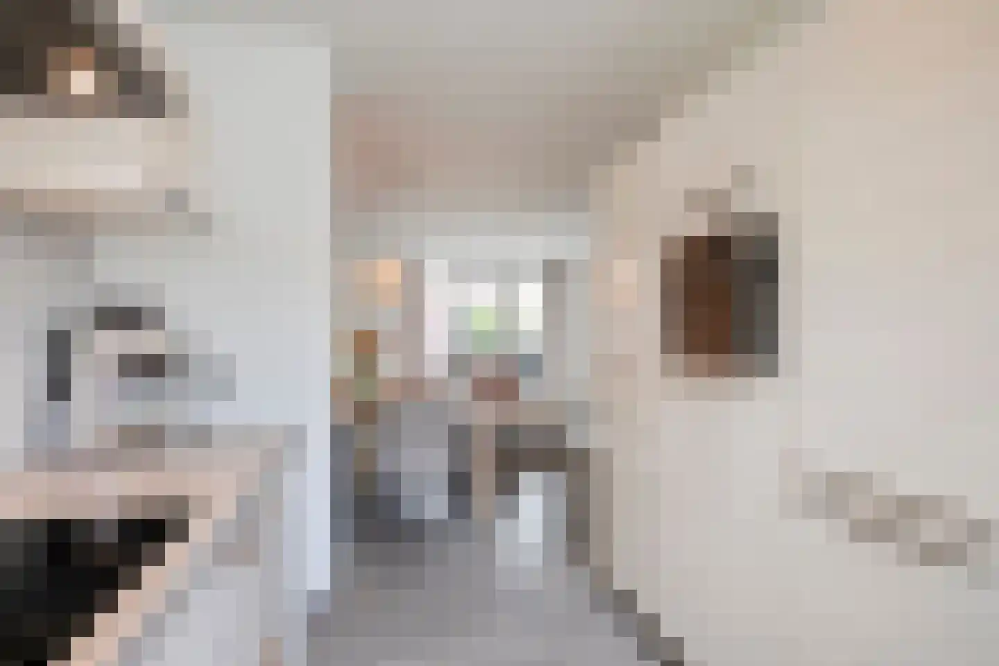 Groote Wielenlaan 402 Rosmalen thumbnail 8