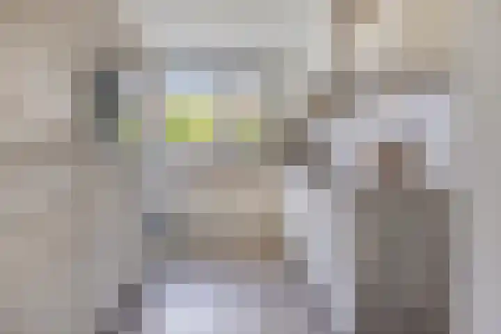 Groote Wielenlaan 402 Rosmalen thumbnail 8