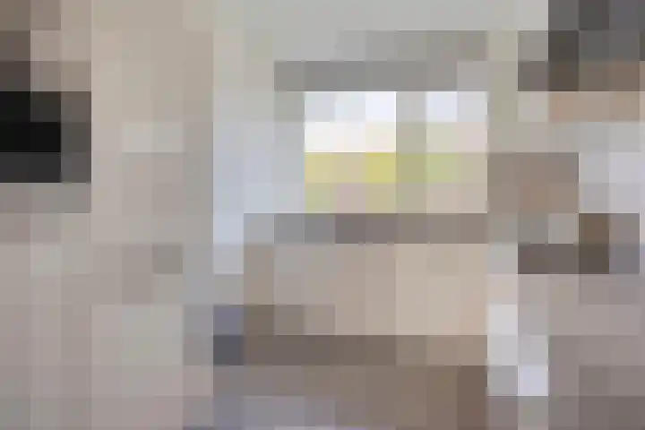 Groote Wielenlaan 402 Rosmalen thumbnail 9