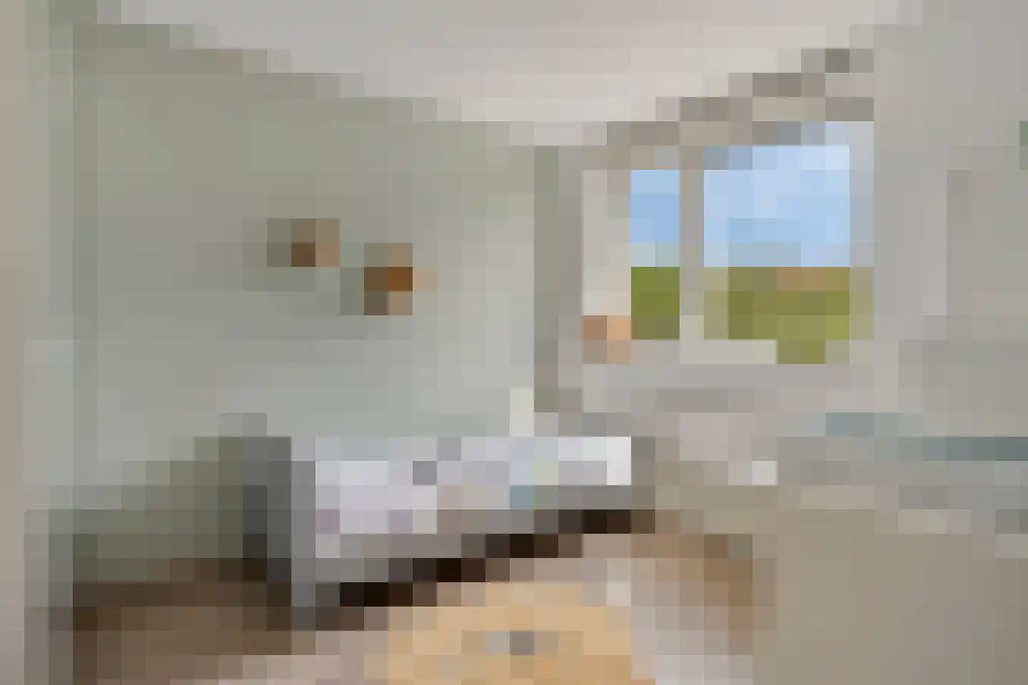 Groote Wielenlaan 449 Rosmalen thumbnail 21