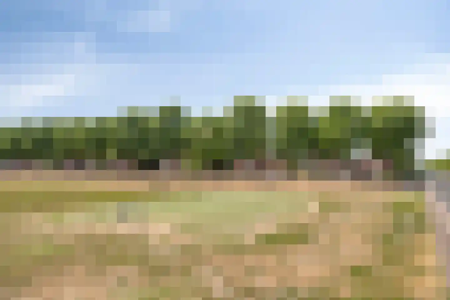 Groote Wielenlaan 449 Rosmalen thumbnail 31