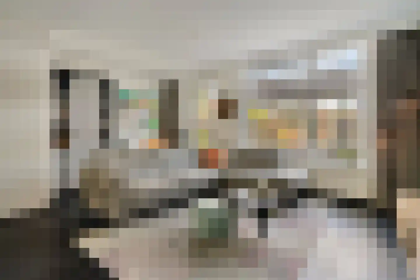 Groote Wielenlaan 449 Rosmalen thumbnail 5