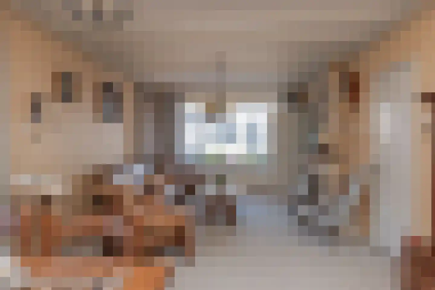 Groote Woldweg 23 Oosterwolde Gld thumbnail 20