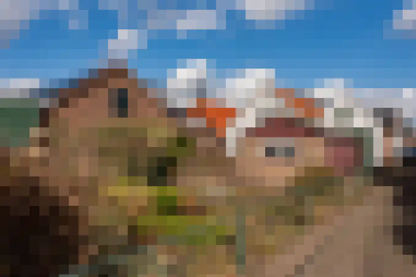 Groote Woldweg 23 Oosterwolde Gld thumbnail 52