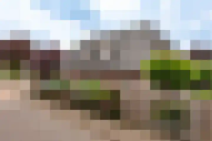 Groote Woldweg 43 Oosterwolde Gld thumbnail 4