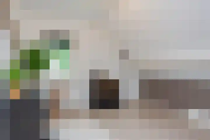 Groote Woldweg 43 Oosterwolde Gld thumbnail 44