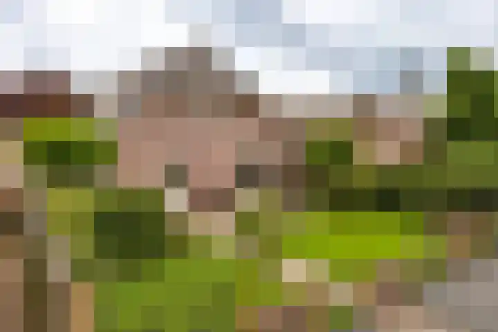Groote Woldweg 43 Oosterwolde Gld thumbnail 61