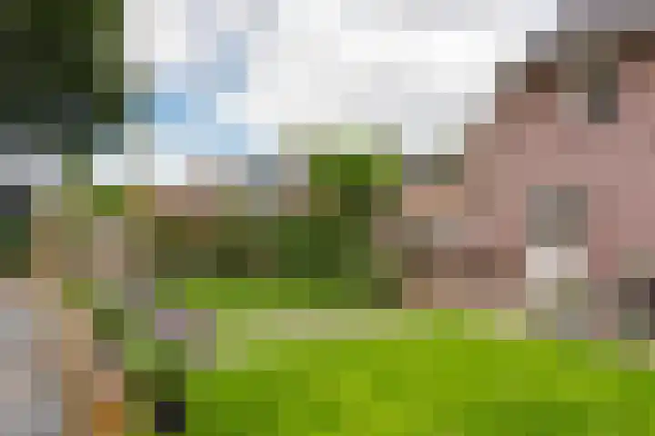 Groote Woldweg 43 Oosterwolde Gld thumbnail 64