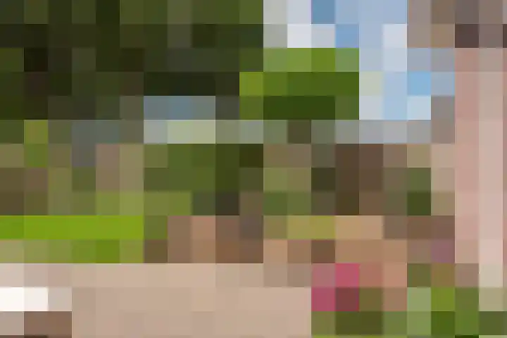 Groote Woldweg 43 Oosterwolde Gld thumbnail 65