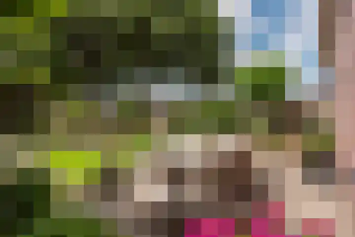 Groote Woldweg 43 Oosterwolde Gld thumbnail 66