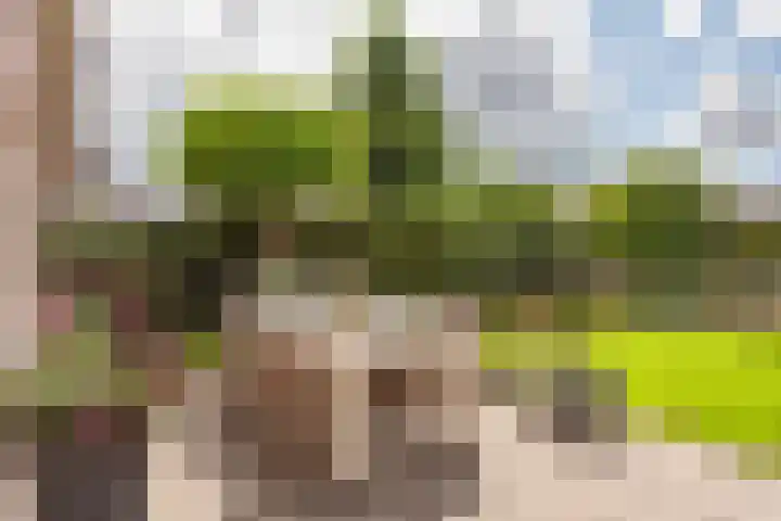 Groote Woldweg 43 Oosterwolde Gld thumbnail 67