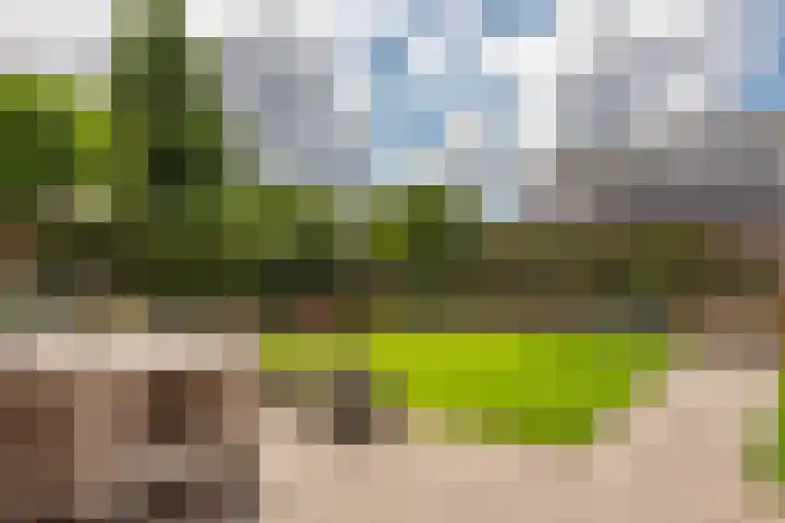 Groote Woldweg 43 Oosterwolde Gld thumbnail 68