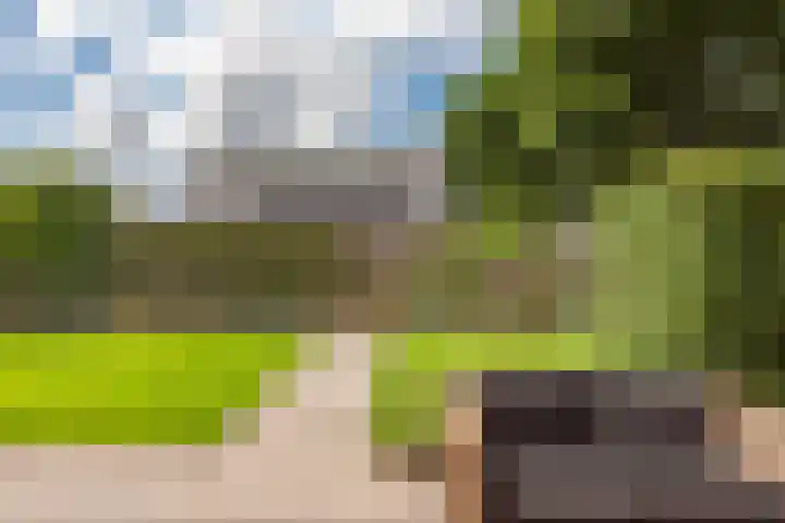 Groote Woldweg 43 Oosterwolde Gld thumbnail 69