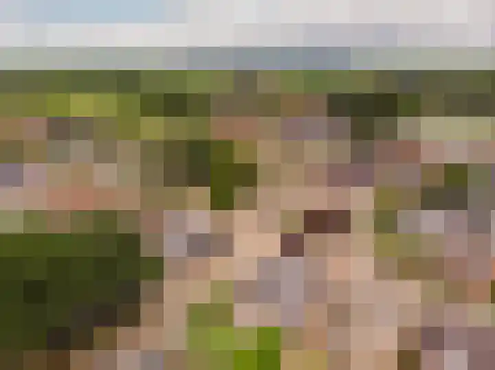 Groote Woldweg 43 Oosterwolde Gld thumbnail 70