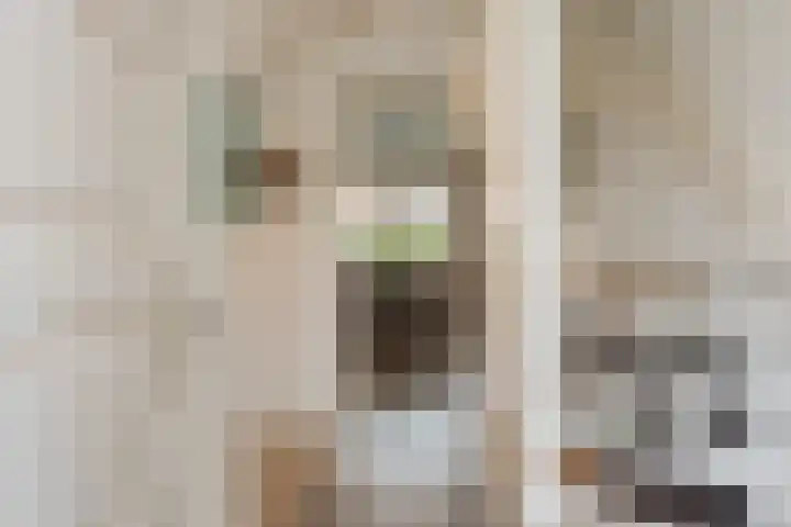 Groote Woldweg 43 Oosterwolde Gld thumbnail 8