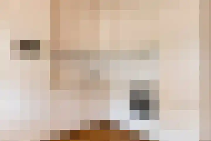 Groote Woordstraat 1 A Haren thumbnail 15