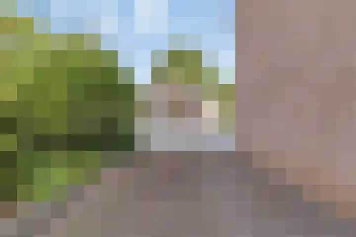 Groote Woordstraat 1 A Haren thumbnail 26