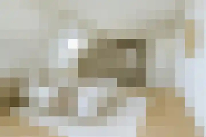 Groote Woordstraat 1 A Haren thumbnail 34
