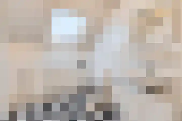 Groote Woordstraat 1 A Haren thumbnail 35