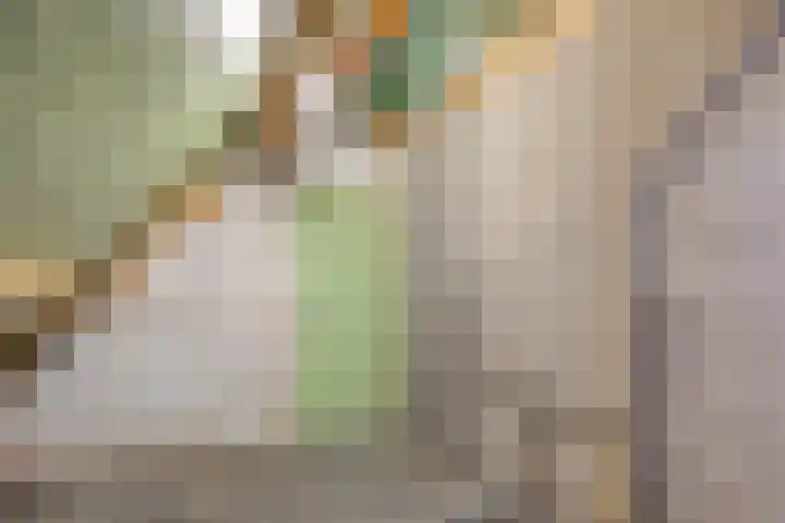 Groote Woordstraat 1 A Haren thumbnail 42