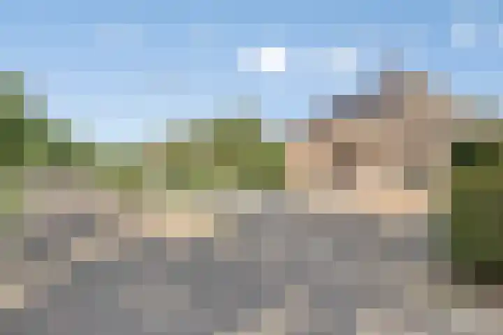 Groote Woordstraat 1 A Haren thumbnail 7