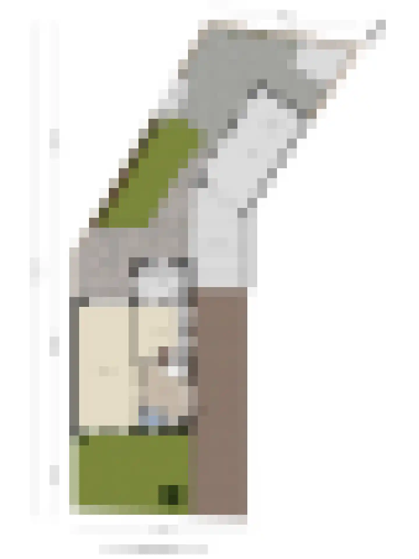 Groote Woordstraat 11 Haren thumbnail 34