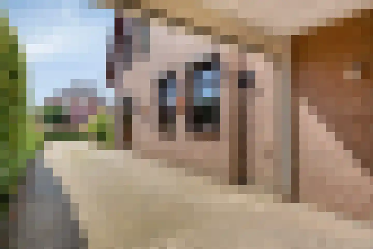 Groote Woordstraat 11 Haren thumbnail 9