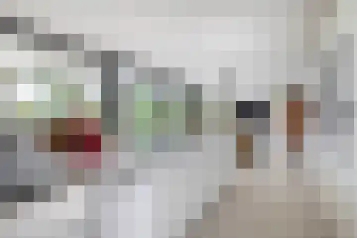 Grooteakker 20 Veghel thumbnail 14