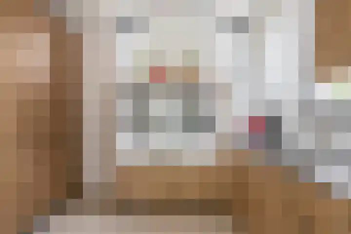 Grooteakker 20 Veghel thumbnail 17