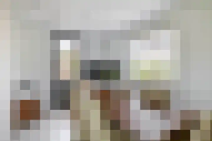 Grooteakker 20 Veghel thumbnail 18