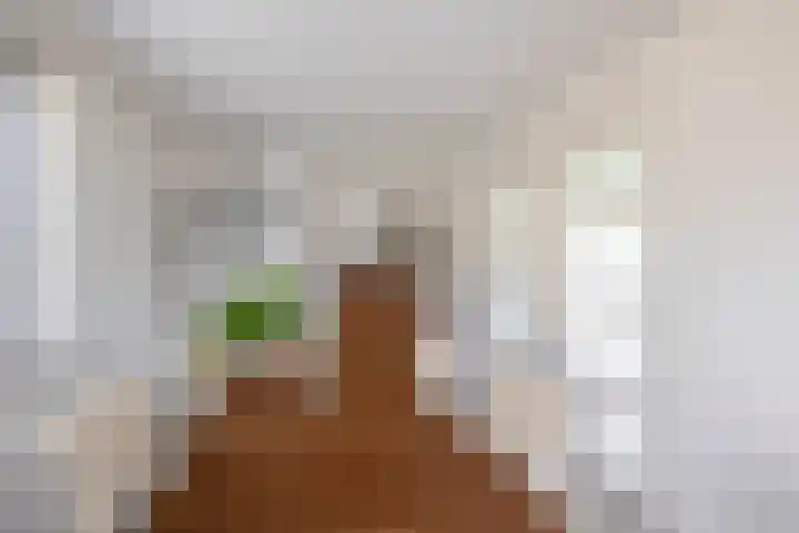 Grooteakker 20 Veghel thumbnail 19