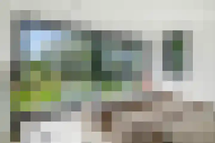 Grooteakker 20 Veghel thumbnail 24