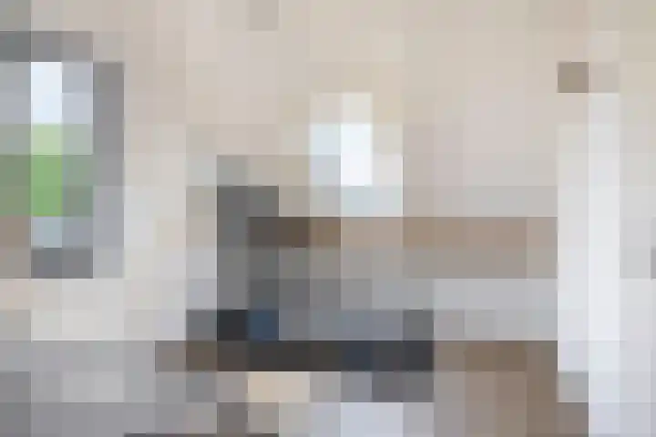 Grooteakker 20 Veghel thumbnail 31