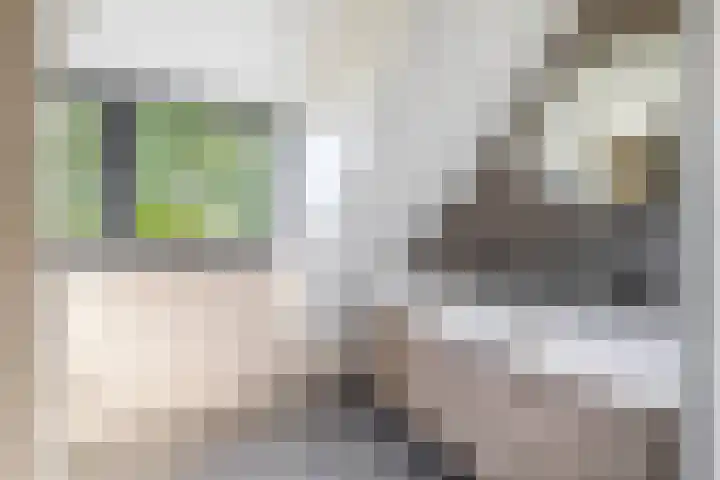 Grooteakker 20 Veghel thumbnail 32
