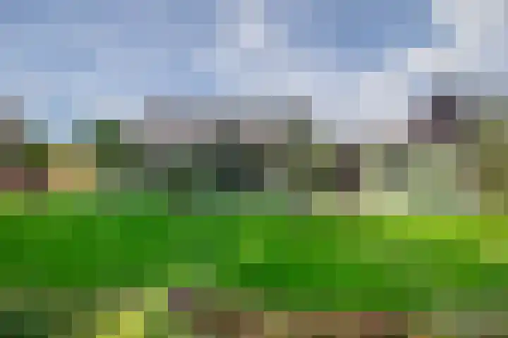 Grooteakker 20 Veghel thumbnail 34
