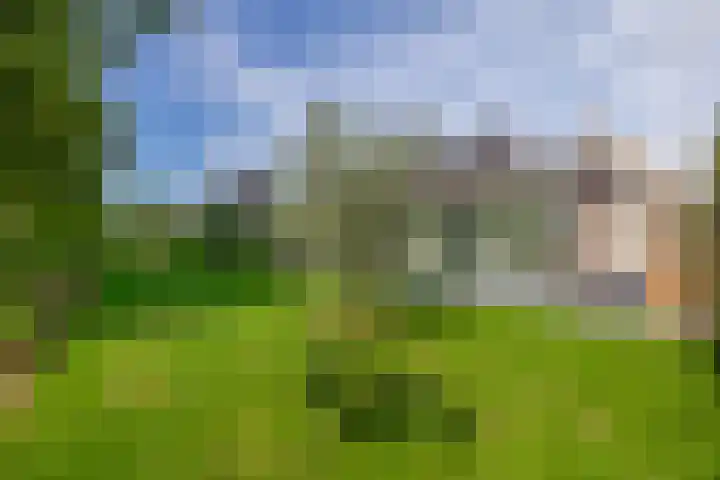 Grooteakker 20 Veghel thumbnail 36