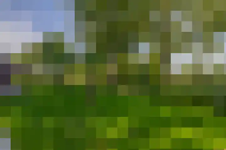 Grooteakker 20 Veghel thumbnail 38