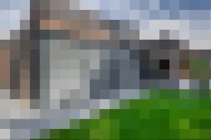 Grooteakker 20 Veghel thumbnail 41