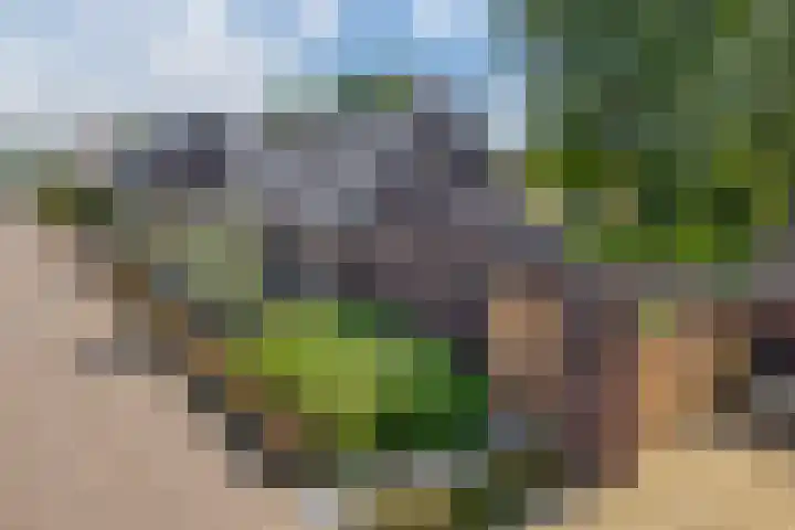 Grooteakker 20 Veghel thumbnail 43