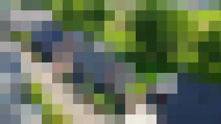 Grooteakker 20 Veghel thumbnail 45