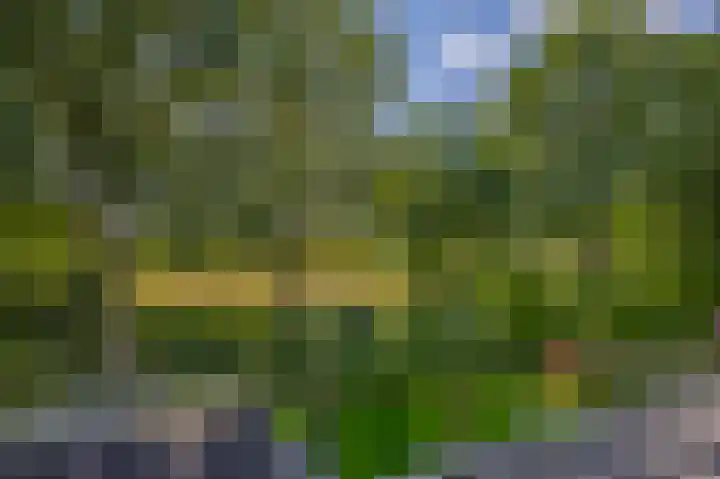 Grooteakker 20 Veghel thumbnail 48
